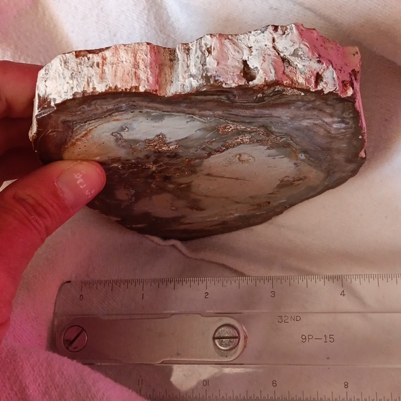 Petrified wood slice 15.2 oz - Picture 5 of 5